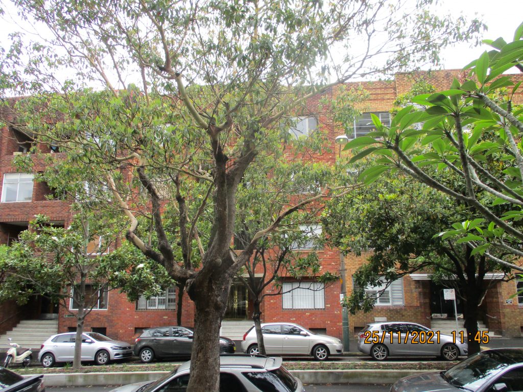 10A-10C CHALLLIS AVENUE, POTTS POINT